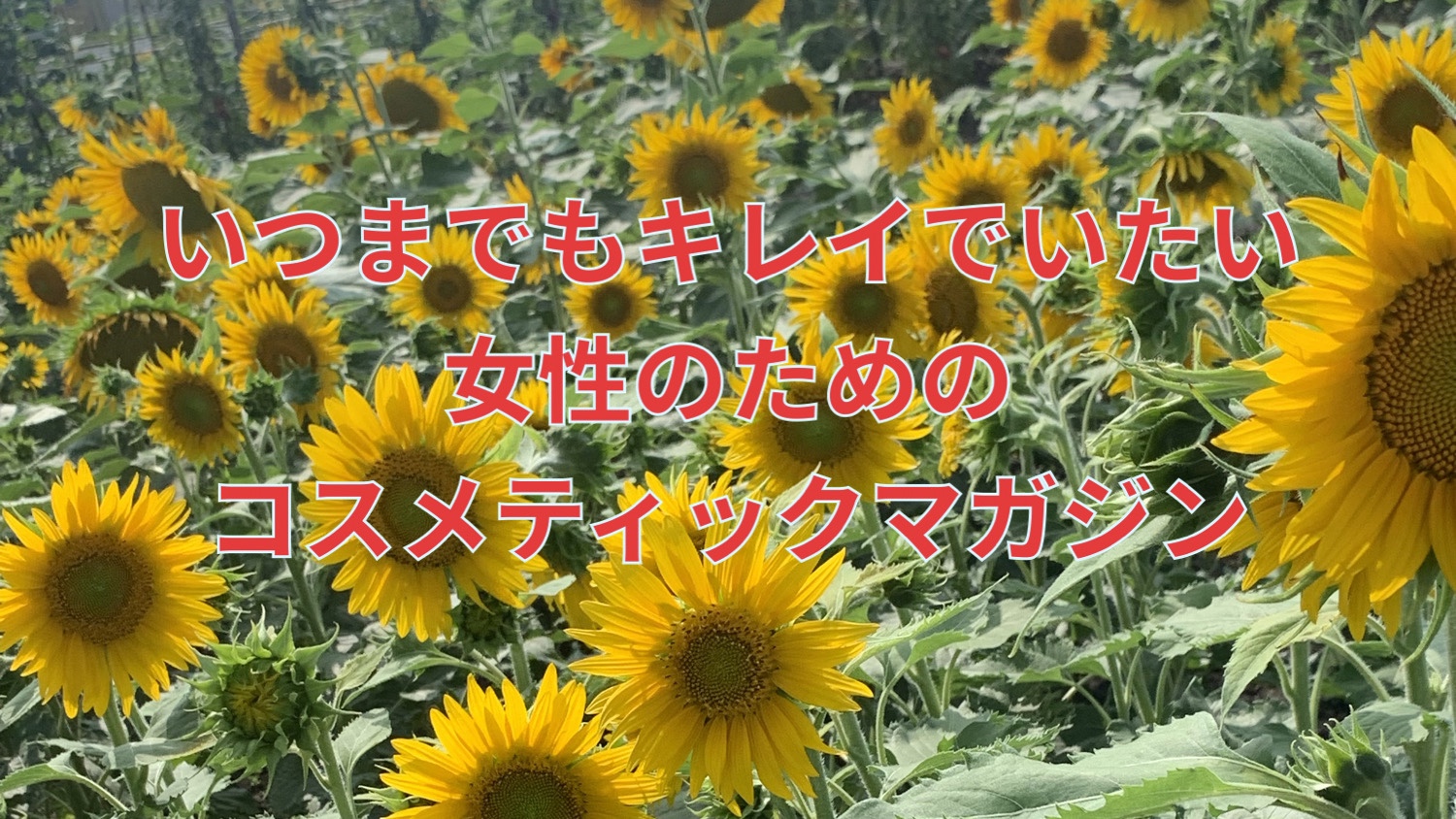 いつまでもキレイでいたい女性のための 「おうち時間」活用マガジン